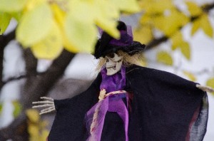 e5ba101854acd1d6efec2080cbe99627_s